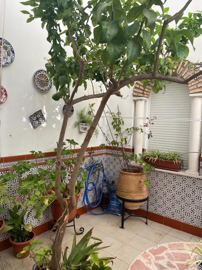 Alyana Hostel Cordoba Luaran gambar