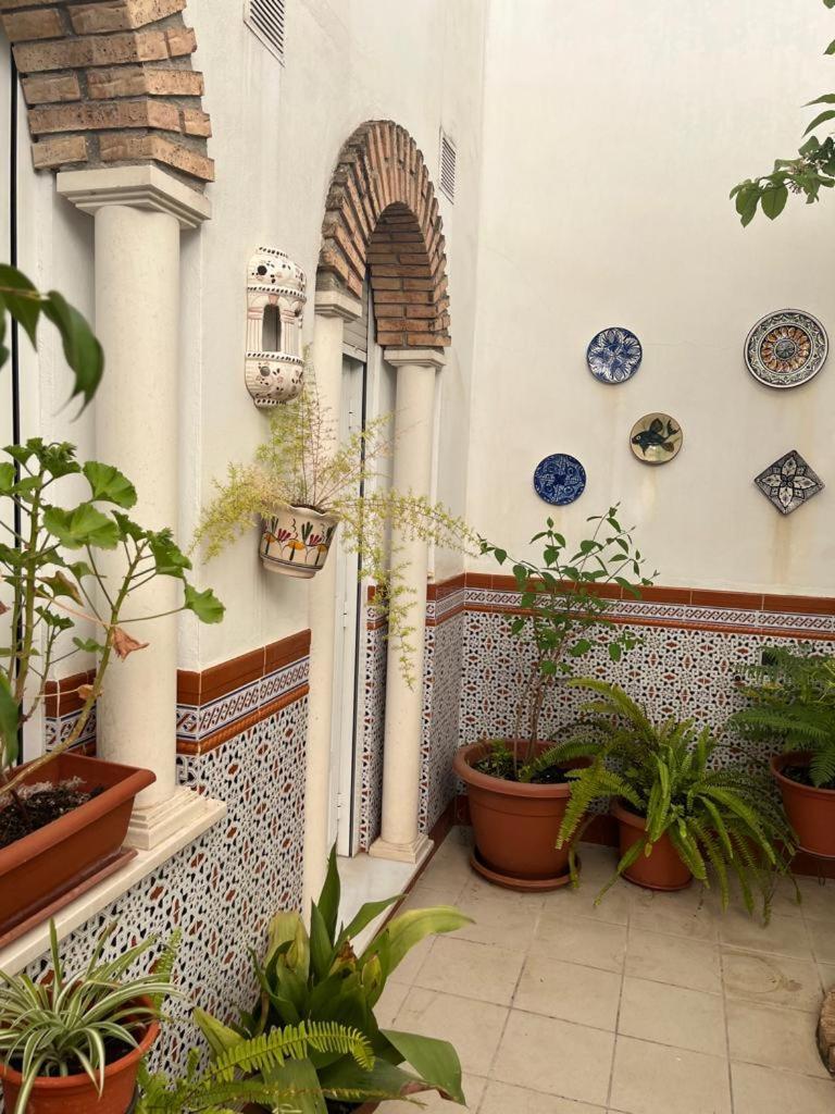 Alyana Hostel Cordoba Luaran gambar